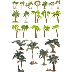 Tropical Palm Tree Bundle