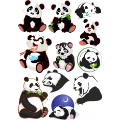 Adorable Panda Bundle