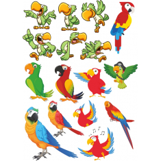 الببغاء Clipart مجموعة ملونة