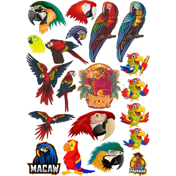 Tropische Papageien-Vektor-Clipart-Set Tropische Papageien-Vektor-Clipart-Set