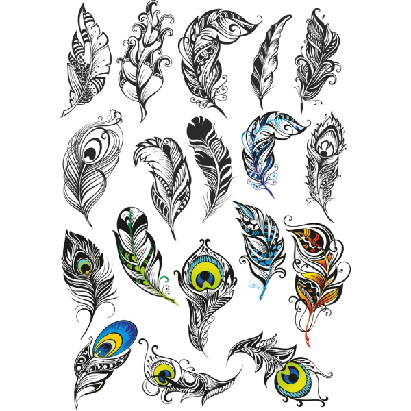 Die Künstlerische Feder-Vektor-Illustrationen - Elegante Clipart-Sammlung Die Künstlerische Feder-Vektor-Illustrationen - Elegante Clipart-Sammlung