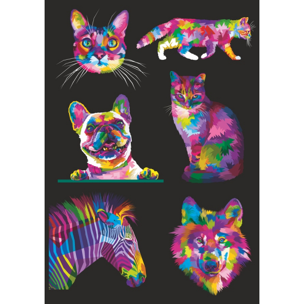 Vibrant สัตว์เลี้ยง-Themed เว็กเตอ Illustrations สวมเสื้อกันหนาวได้ Vibrant สัตว์เลี้ยง-Themed เว็กเตอ Illustrations สวมเสื้อกันหนาวได้
