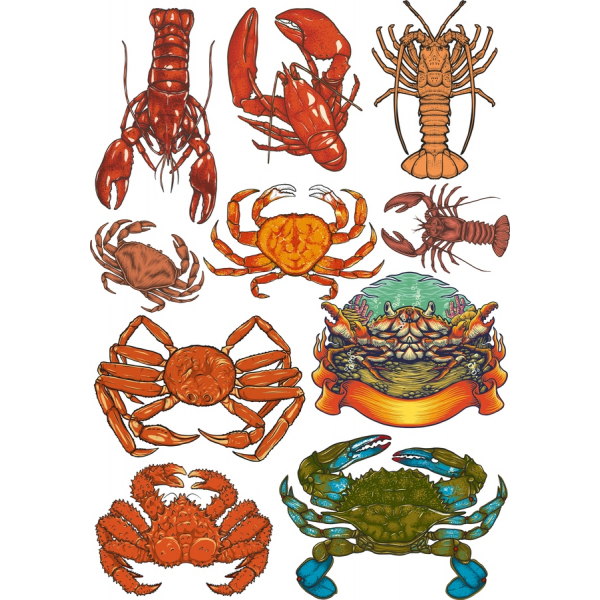 القشريات Clipart مجموعة جراد البحر وسرطان البحر و أكثر القشريات Clipart مجموعة جراد البحر وسرطان البحر و أكثر