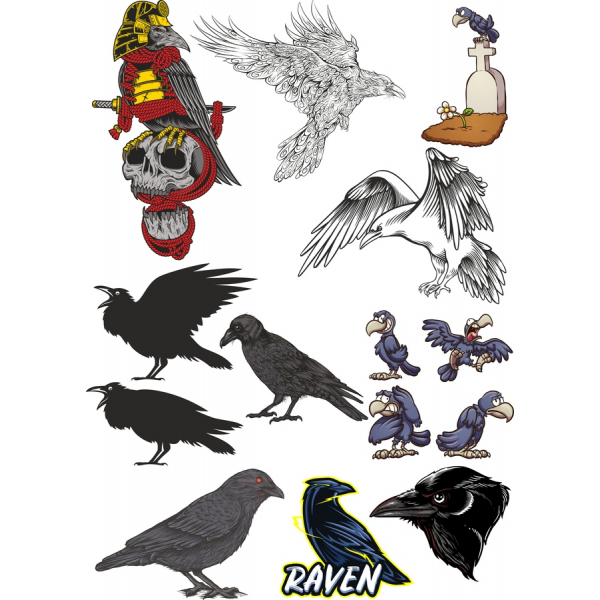 Raven & Bird Vector De Colección Raven & Bird Vector De Colección