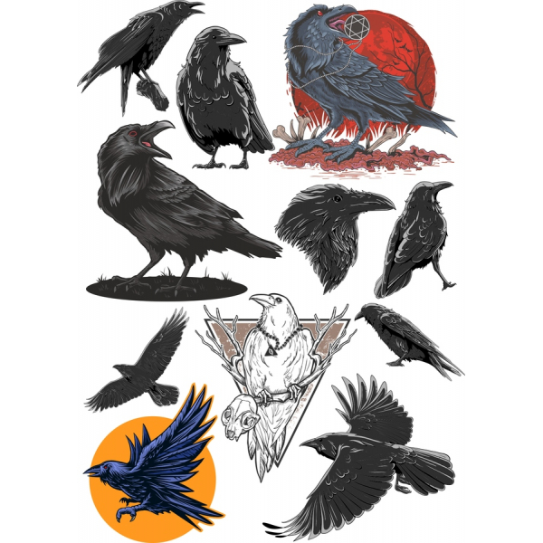 Raven Clipart Bundle Mistico - Illustrazioni Vettoriali Raven Clipart Bundle Mistico - Illustrazioni Vettoriali