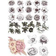 Blommig Clipart Bundle - Elegant s