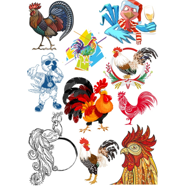 Kohout Clipart Bundle - Živé Vektorové Ilustrace