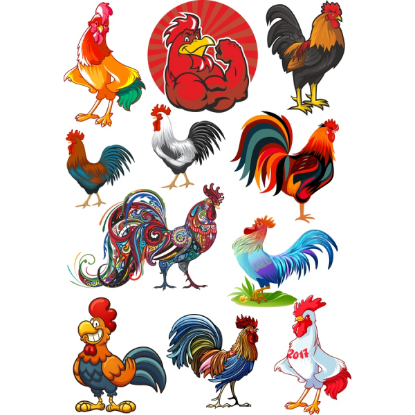 Charmant Coq Vecteur Clipart Set Charmant Coq Vecteur Clipart Set