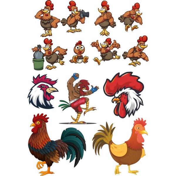Chicken Vector Illustration Bundle - Whimsical Clipart Set Chicken Vector Illustration Bundle - Whimsical Clipart Set