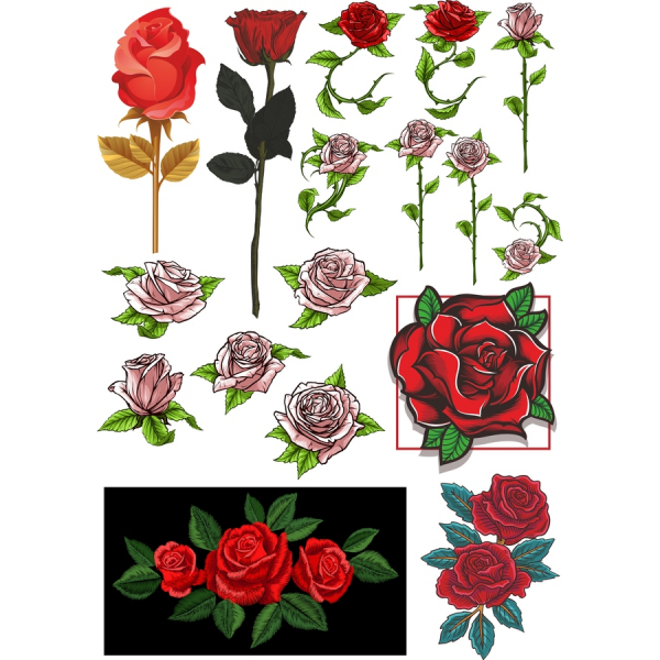 خوبصورت گلاب ویکٹر Cliparts سیٹ - SVG & PNG بنڈل خوبصورت گلاب ویکٹر Cliparts سیٹ - SVG & PNG بنڈل