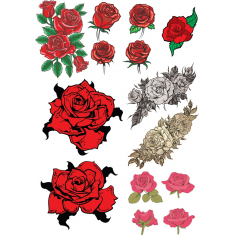 Timeless Rose Collection