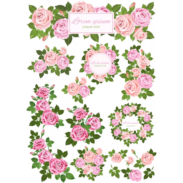 Vector Florale Clipart Bundle - Trandafiri Roz în SVG & PNG Vector Florale Clipart Bundle - Trandafiri Roz în SVG & PNG