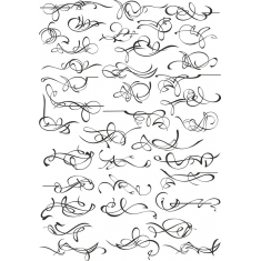 Calligraphic Flourishes ตั้งค่า-50 แห่งเหล่าอัศวินราชินีและอสร Cliparts