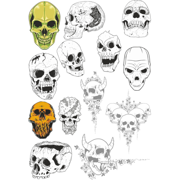 Craniul Vector Clipart Set Craniul Vector Clipart Set