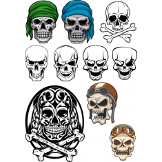 جمجمه Collection - مجموعه