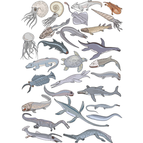 A Vida Marinha De Clipart De Vetor Definido A Vida Marinha De Clipart De Vetor Definido