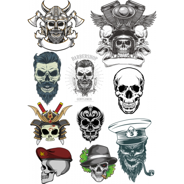 Ultimate Cranio Vettoriale Clipart Collezione Ultimate Cranio Vettoriale Clipart Collezione
