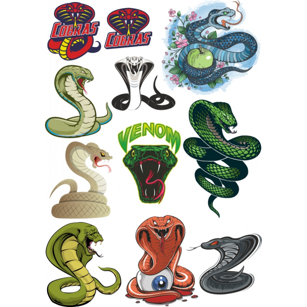 کبرا Vector Clipart بسته نرم افزاری - قابل توجه در تصاویر برای پروژه های خلاق کبرا Vector Clipart بسته نرم افزاری - قابل توجه در تصاویر برای پروژه های خلاق