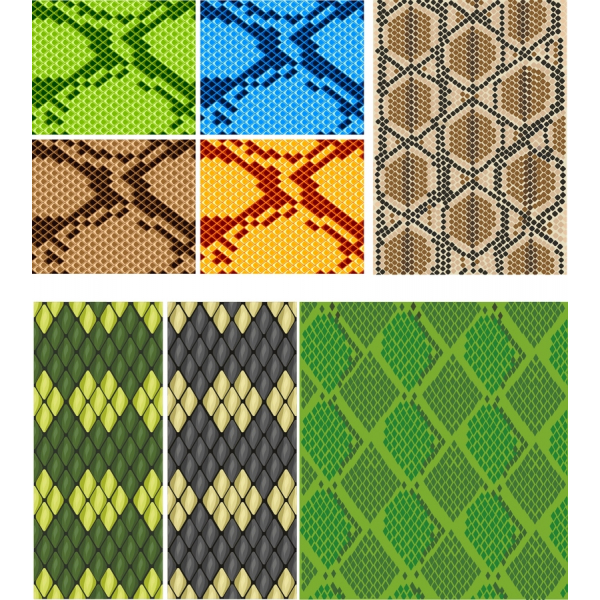 Set van Vector Snake Skin Patronen - Unieke Illustraties Bundel