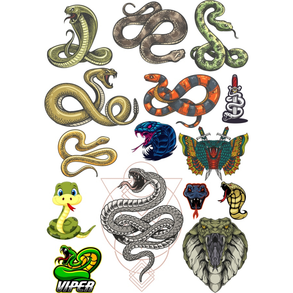 Had Klipart Set - Ohromující Vektorové Ilustrace