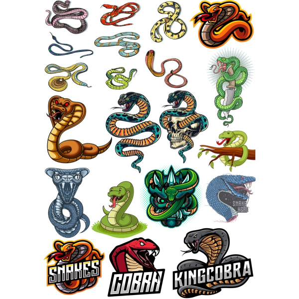 Serpente Illustrazioni Vettoriali - Premium Clipart Bundle Serpente Illustrazioni Vettoriali - Premium Clipart Bundle
