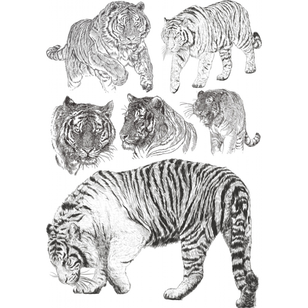 Tiger-Vektor-Clipart-Bundle - Atemberaubende, Handgezeichnete Illustrationen Tiger-Vektor-Clipart-Bundle - Atemberaubende, Handgezeichnete Illustrationen