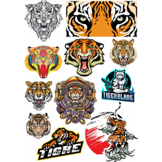 කොටි මිටියක් - දරුණු සහ සෙල්ලක්කාර