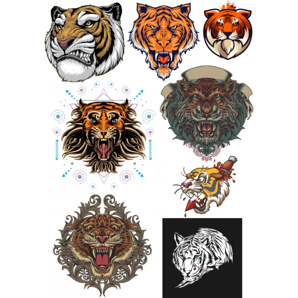 Tiger Vector Illustrations Bundle - Stunning Cliparts in SVG & PNG Tiger Vector Illustrations Bundle - Stunning Cliparts in SVG & PNG