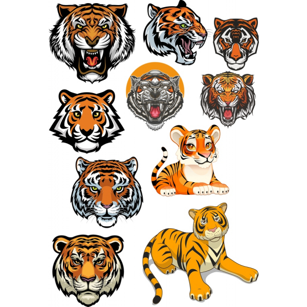 Tigre de Clipart de Vetor Set - Premium SVG e PNG Ilustrações Tigre de Clipart de Vetor Set - Premium SVG e PNG Ilustrações