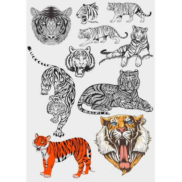 نمر مهيب Clipart Collection نمر مهيب Clipart Collection
