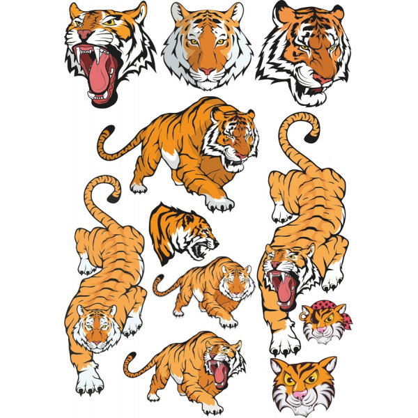 ببر Vector Clipart, Collection - خیره کننده تصاویر SVG ببر Vector Clipart, Collection - خیره کننده تصاویر SVG