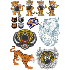 Tiger Samling