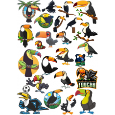 Toucan Collection - Exotic Clipart Bundle