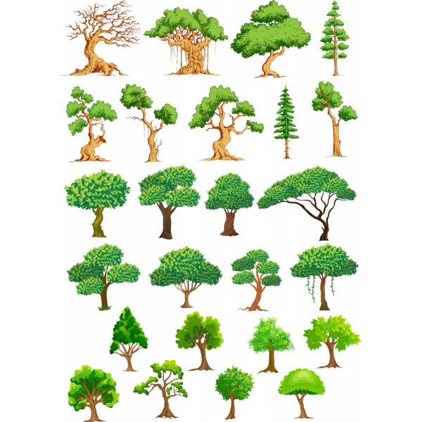 Vektor Træ Illustrationer Set - Høj Kvalitet SVG & PNG Bundt Vektor Træ Illustrationer Set - Høj Kvalitet SVG & PNG Bundt