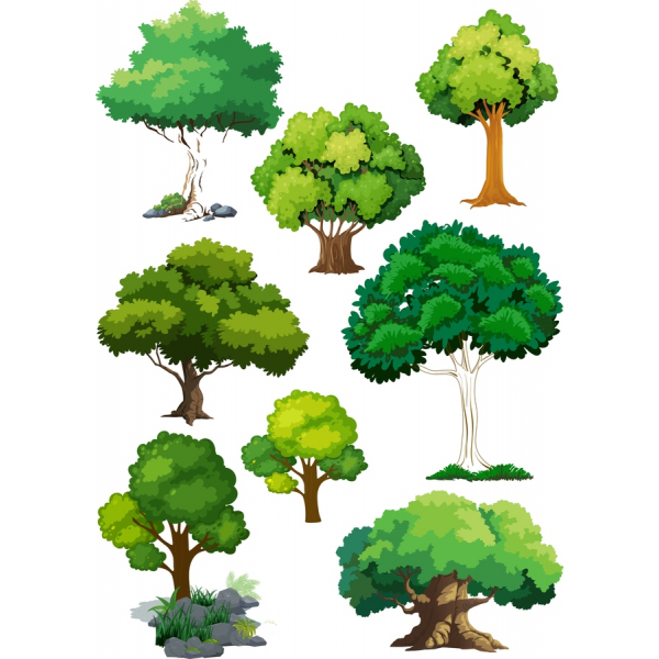 Forskellige Træ Vektor Clipart Sæt - Alsidig SVG &amp; PNG Illustrationer