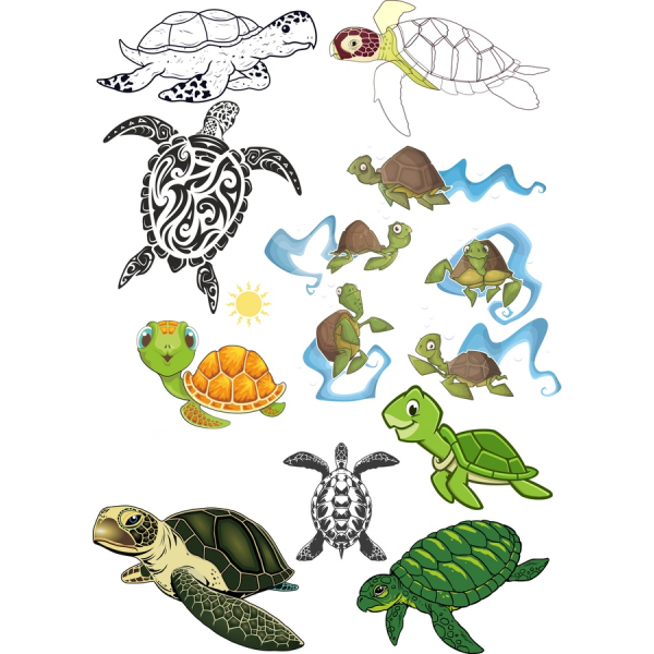Adorable Turtle Vector Illustrations Set Adorable Turtle Vector Illustrations Set