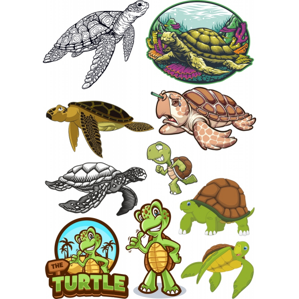 Tortuga Vector de imágenes Prediseñadas de Paquete - SVG & PNG Conjunto Tortuga Vector de imágenes Prediseñadas de Paquete - SVG & PNG Conjunto