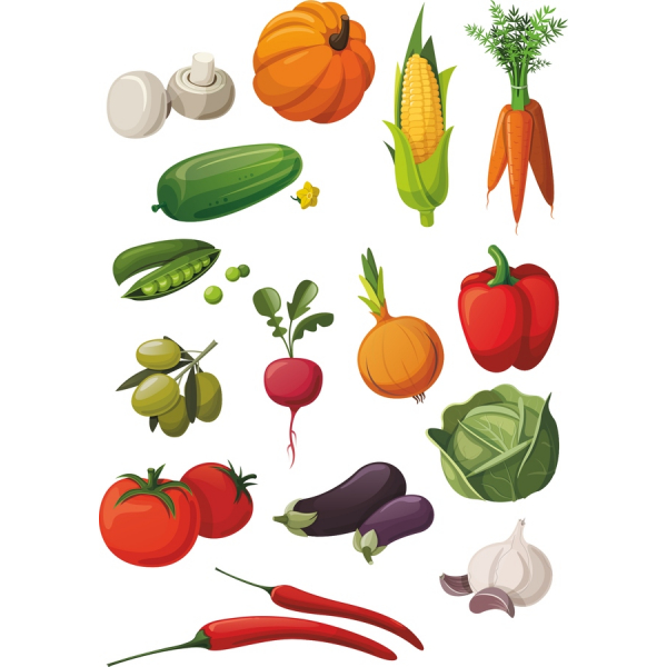 Vegetable Vector Clipart Collection - Fresh and Colorful Illustrations