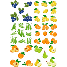 Augļu klipkopu komplekts | Vektoru un PNG augļu ilustrācijas — tūlītēja lejupielāde
