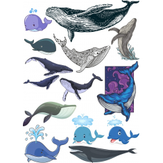 クジラストの雄大な&amp;遊び心に