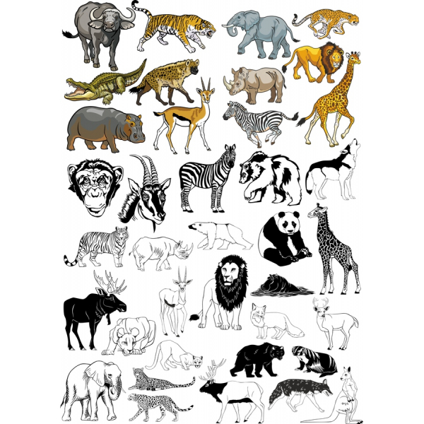 المملكة الحيوانية Clipart ناقلات حزمة المملكة الحيوانية Clipart ناقلات حزمة