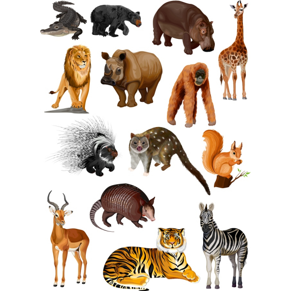 Dýr Vektor Clipart Búnt: 15 Hágæða Myndir
