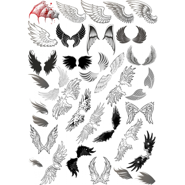 Premium-Flügel Vektor-Clipart-Set
