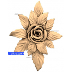 Rose Elegance