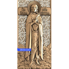 Saint Mary the Immaculate