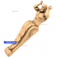 অ্যাটলাস সমর্থন বন্ধনী