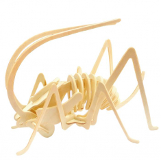 Cricket ໓D Laser ຕັດແມ່ແບບ Vector