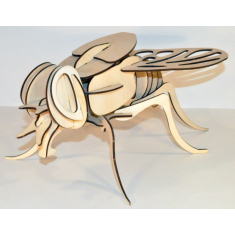 Fly Insect 3D Laser Cut Vector Template