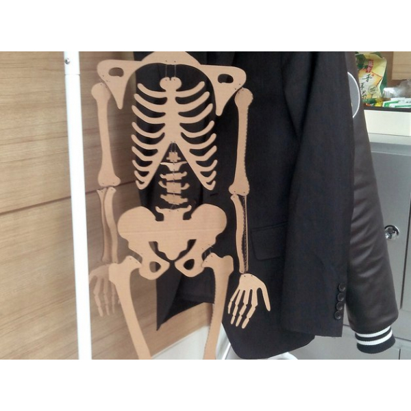Human Skeleton Laser Cut Vector File — Anatomical Skeleton SVG/DXF Human Skeleton Laser Cut Vector File — Anatomical Skeleton SVG/DXF