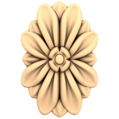 گلبرگ شکوفه روزت
